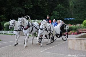 Фотография Dianoff Wedding 1